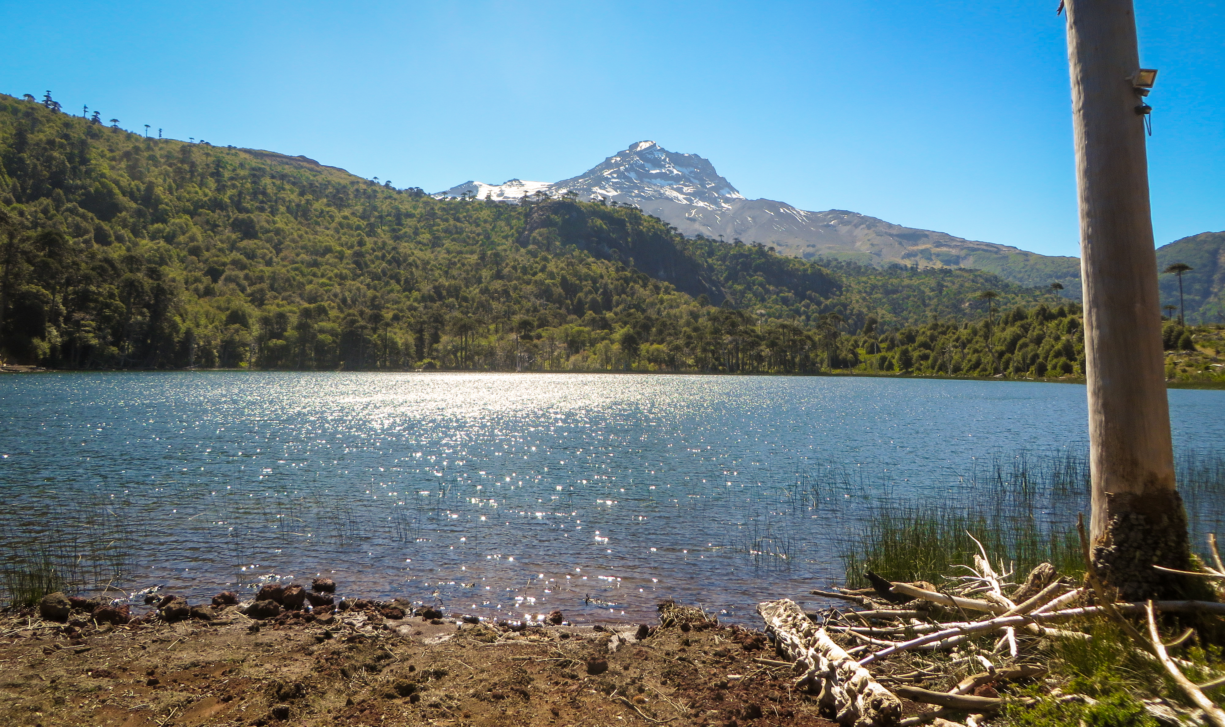 Transmark, Transmark Renewables, Chile, Peumayén, Tolhuaca, Gerard Krans, Jan Erik Otten